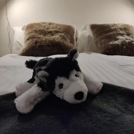 公寓 Polar Luxury 罗瓦涅米